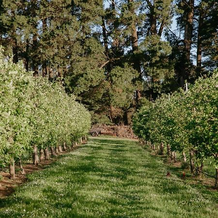 Shoreham Hart'S Farm Bed & Breakfast エクステリア 写真