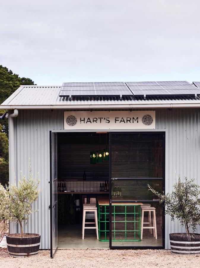 Shoreham Hart'S Farm Bed & Breakfast エクステリア 写真
