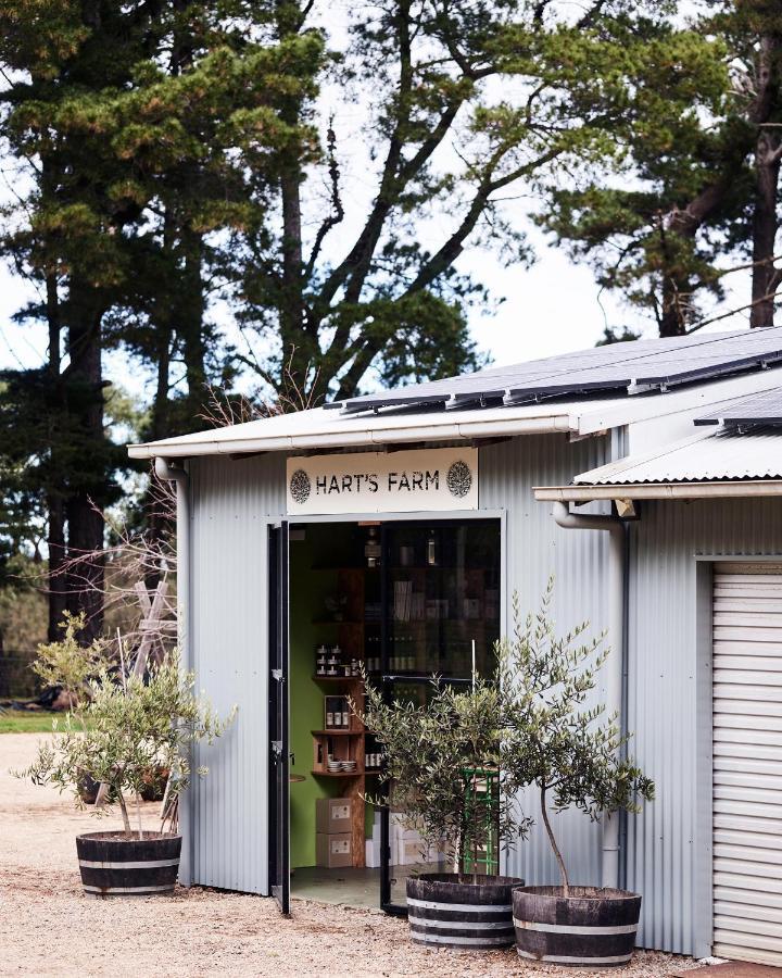 Shoreham Hart'S Farm Bed & Breakfast エクステリア 写真