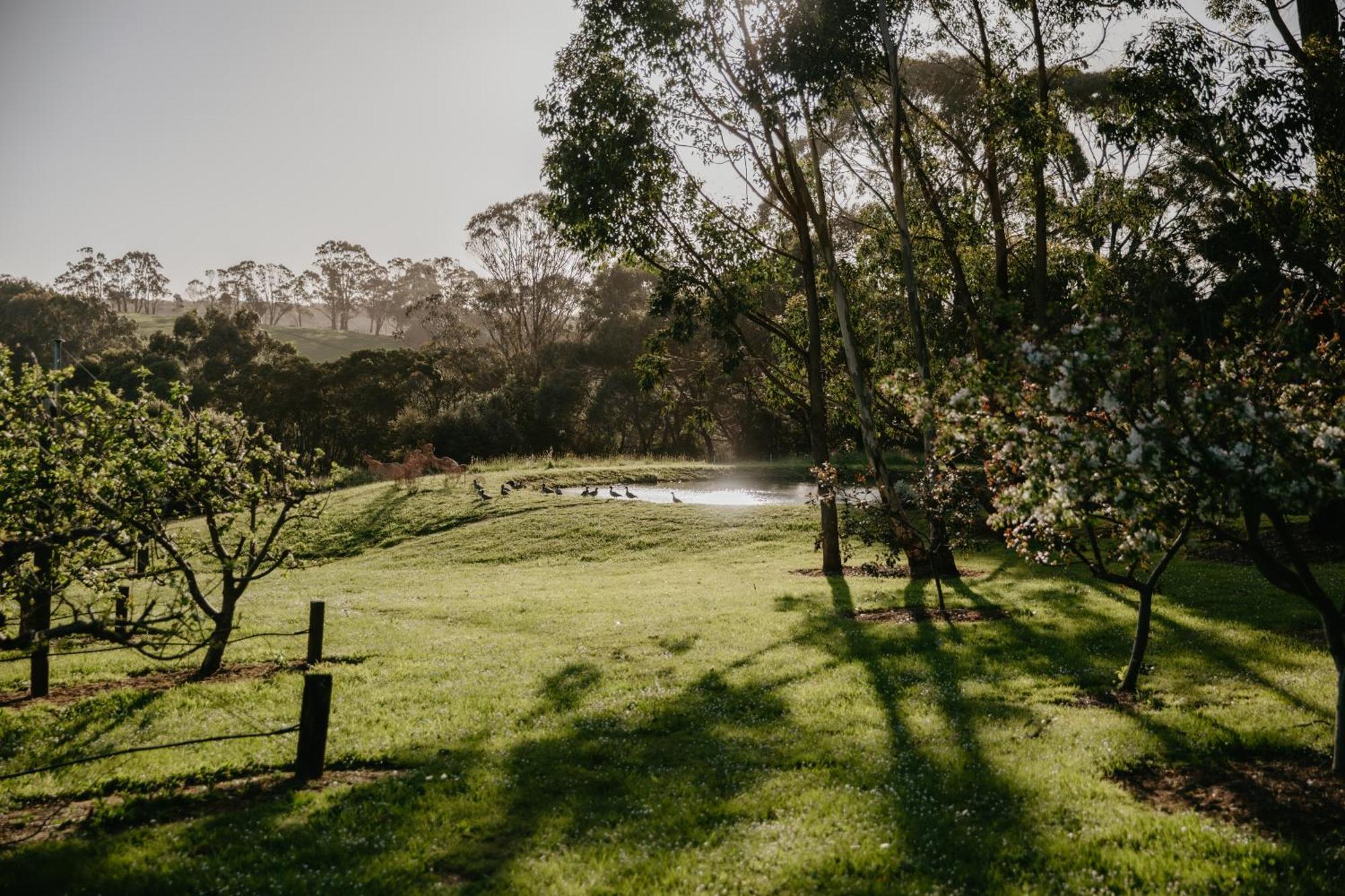 Shoreham Hart'S Farm Bed & Breakfast エクステリア 写真