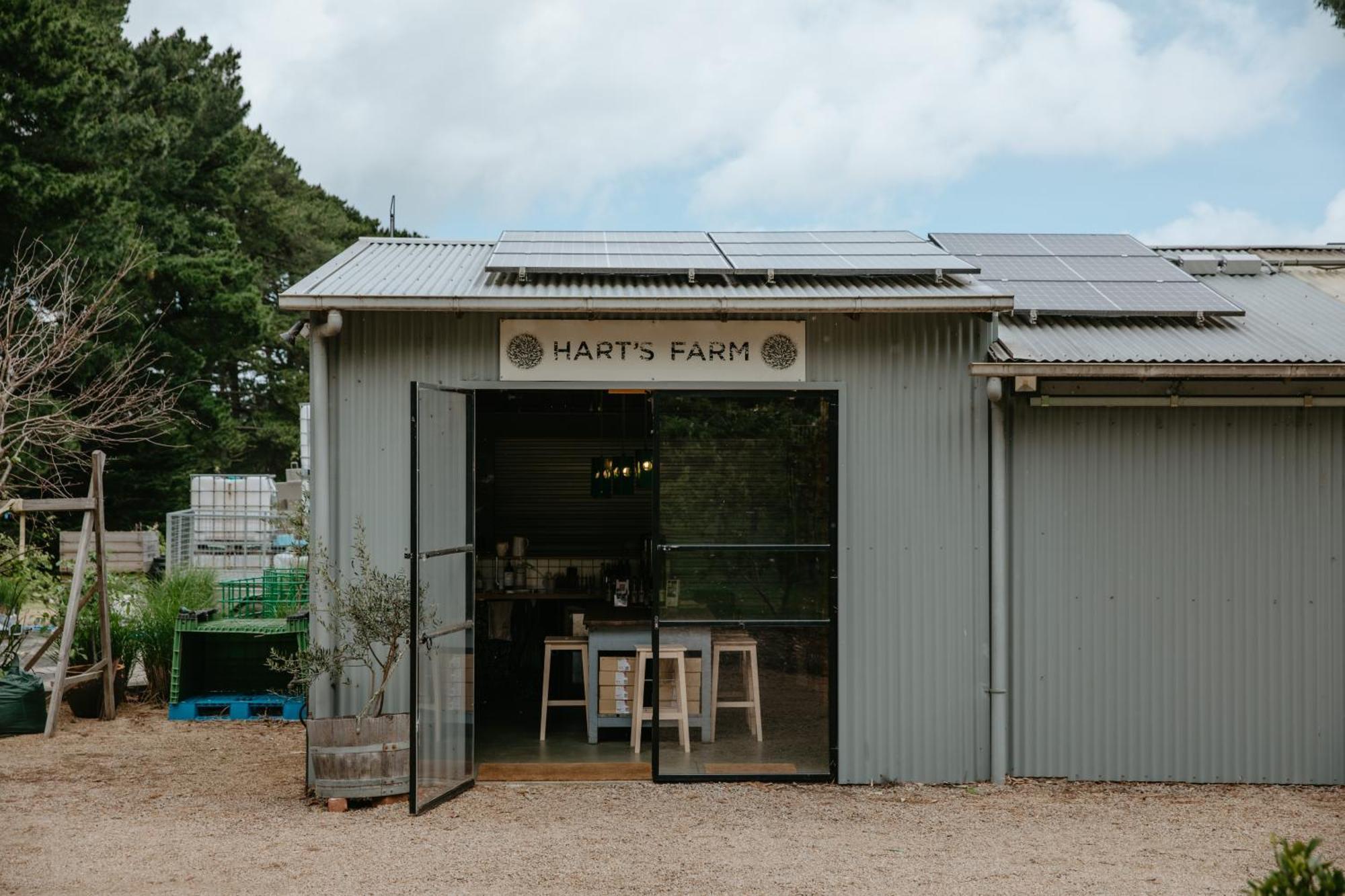 Shoreham Hart'S Farm Bed & Breakfast エクステリア 写真