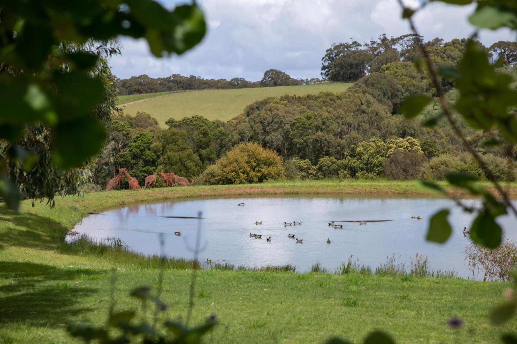 Shoreham Hart'S Farm Bed & Breakfast エクステリア 写真