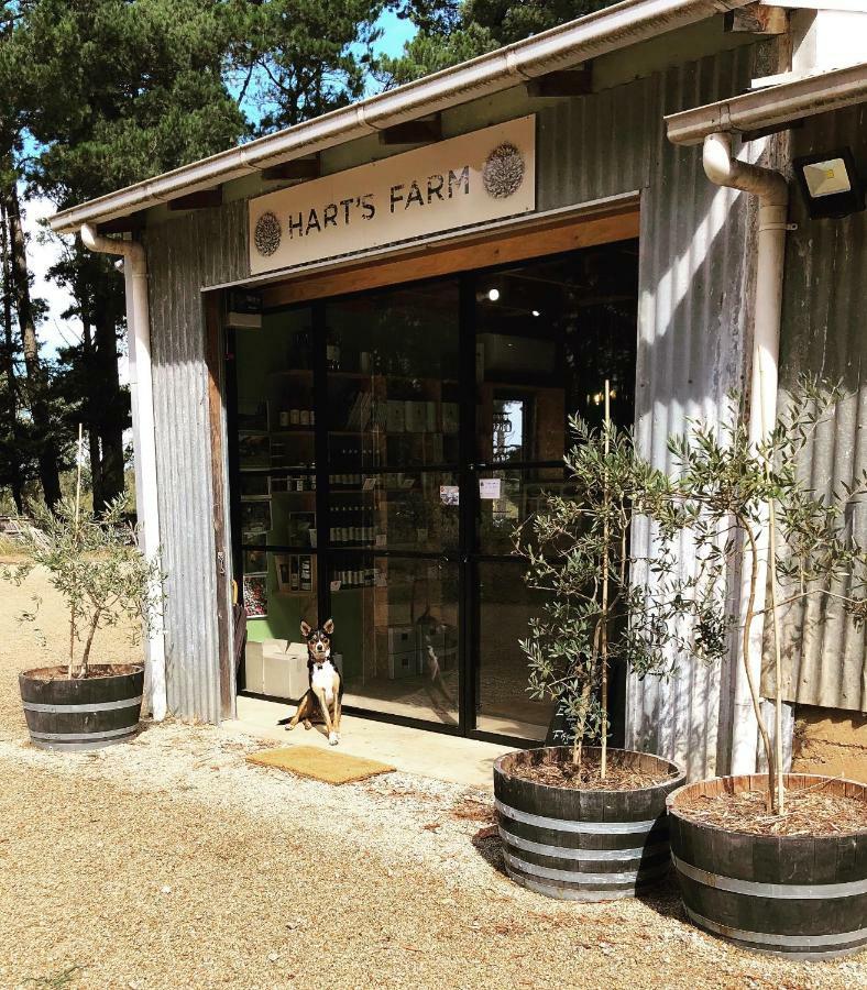 Shoreham Hart'S Farm Bed & Breakfast エクステリア 写真
